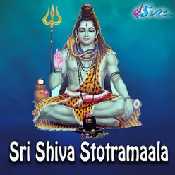 Namah Sivaabhyam